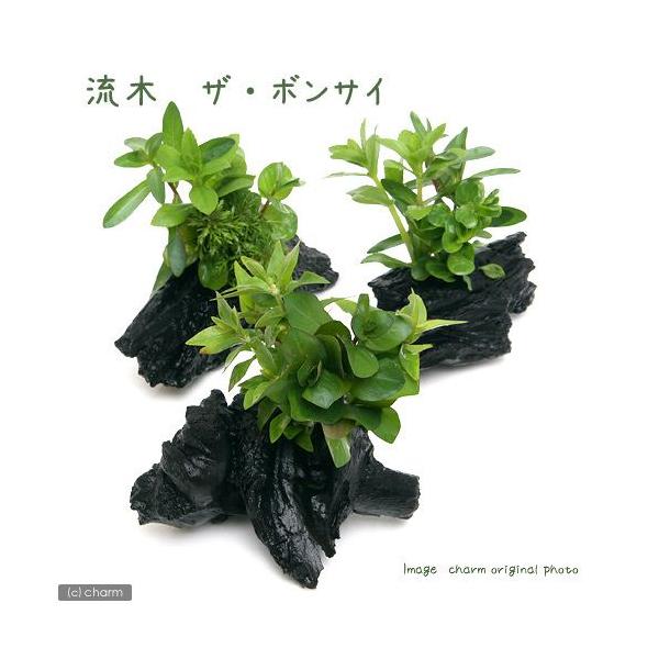 ij؁@U@{TC@rTCYitji_jiR{jiPTj