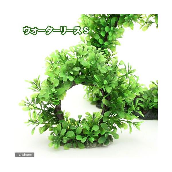 eg@EH[^[[X@r@lH@ANZT[@Mы@@_J