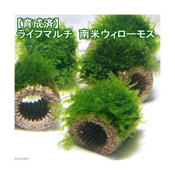 ij琬ρ@Ct}`ijăEB[Xitji_jiRj