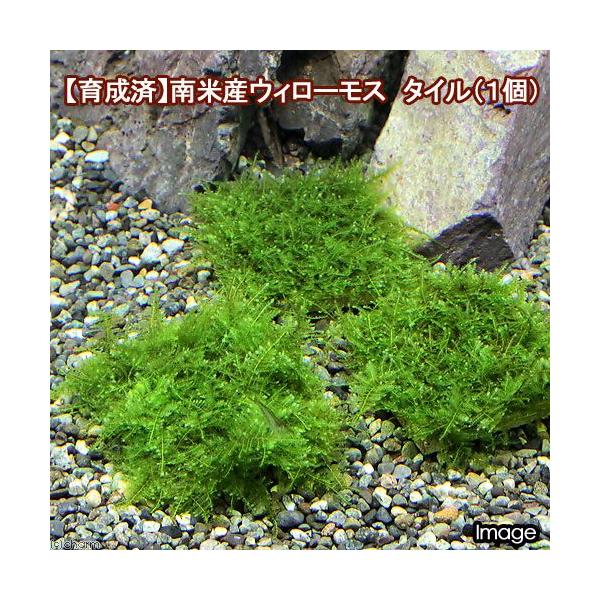 ij琬ρ@ăEB[X@^Citji_jiPj