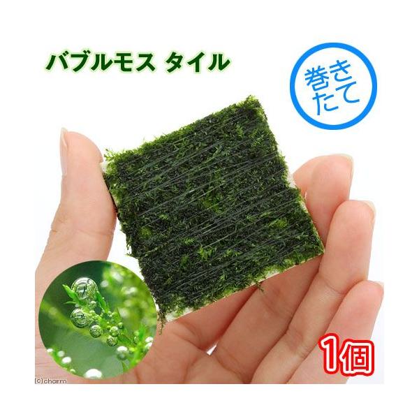 ijā@ouX@^Citji_jiPj