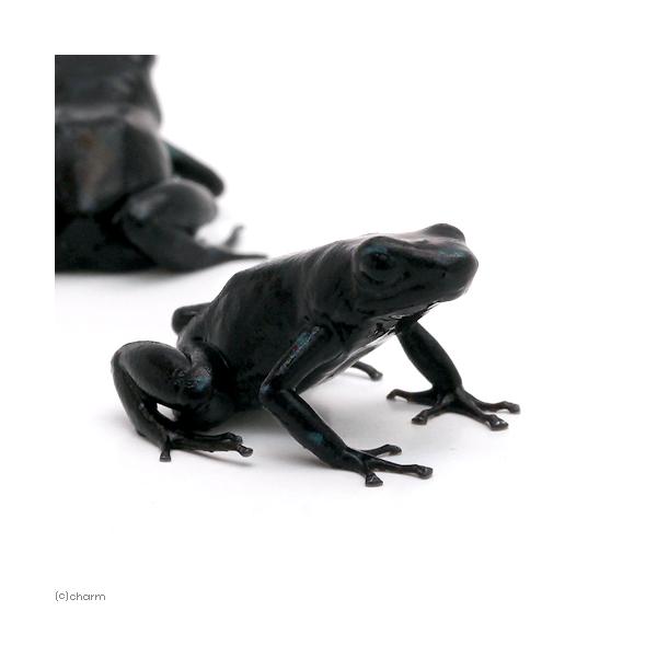 iށj}_hNKG@ubNghiPCj@kCEBq֗vۉ