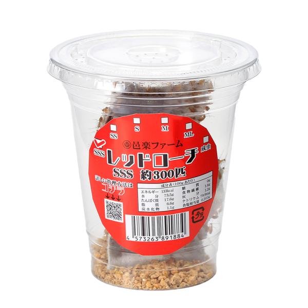 PF_SPQ　_kame　生き餌　えさ　アロワナ　_aqua　_hachu　大型魚エサ　爬虫類エサ　器具　餌　給餌器　生餌　ブライン　爬虫類生餌　トルキスタンゴキブリ　Blatta　laterlis　red_roach　fish_ikie　...