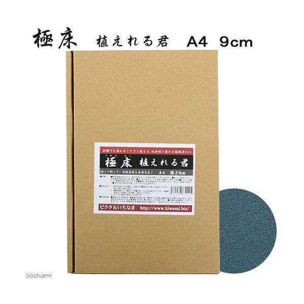 メーカー：ピクタ line2462terarium　kjKPgai　tmKPkin　亀・爬虫類　陸ガメ　爬虫類　シェルター　_hachu　4582113920360　フォーム　20141214　ＫＫ　両生類　テラリウム　ピクタ　tera_m...