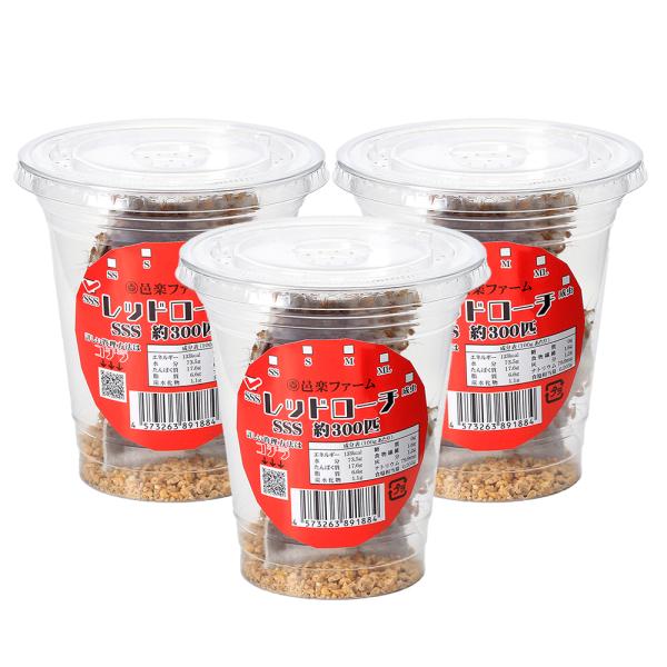 生き餌　えさ　アロワナ　_aqua　_hachu　omk_pgs　大型魚エサ　爬虫類エサ　器具　餌　給餌器　生餌　ブライン　爬虫類生餌　トルキスタンゴキブリ　Blatta　laterlis　red_roach　fish_ikie　レッドロー...