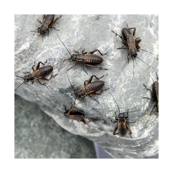 iajt^zVRIM@r@UOCiUDOOj@঒ށ@ށ@a@GT@a@kCEBq֗vۉ