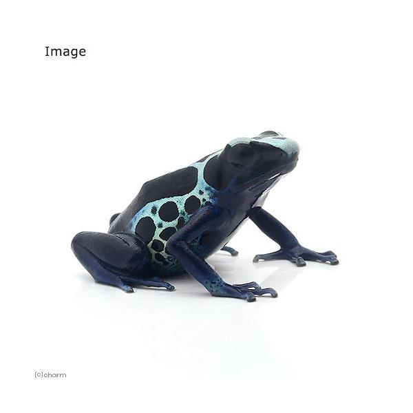 iށjAC]hNKG@IC|bLghiPCj@kCEBq֗vۉ