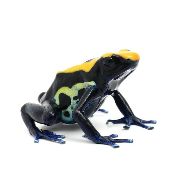 iށjAC]hNKG@uWghiPCj@kCEBq֗vۉ