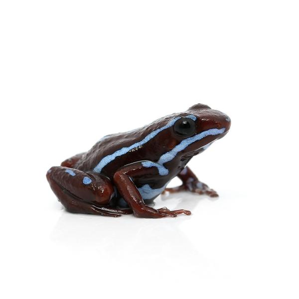 iށjA\j[hNKG@AJXghiPCj@kCEBq֗vۉ