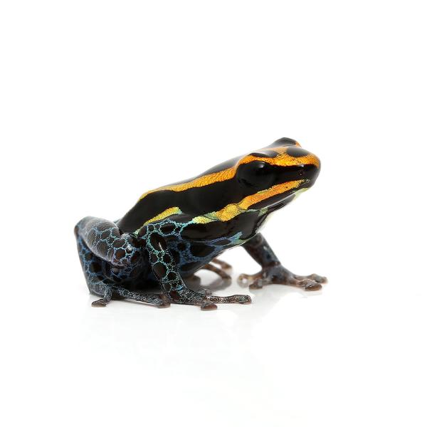 iށjA}]jJhNKG@CLgX@IW@g@hiPCj@kCEBq֗vۉ