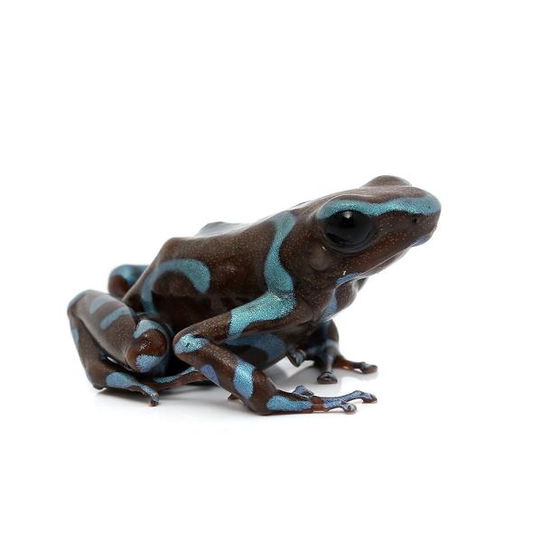 iށj}_hNKG@u[uYghiPCj@kCEBq֗vۉ