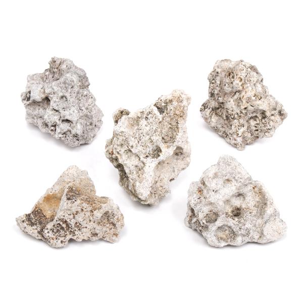 形状お任せ　暗月石　ＳＳサイズ（約５〜８ｃｍ）　５個　アクアリウム　レイアウト素材　2250008081039　アクアリウム用品　アクア用品　素材　レイアウト素材　レイアウト　石　岩　飾り石　天然石　天然岩　自然石　ロック　ストーン　レイア...