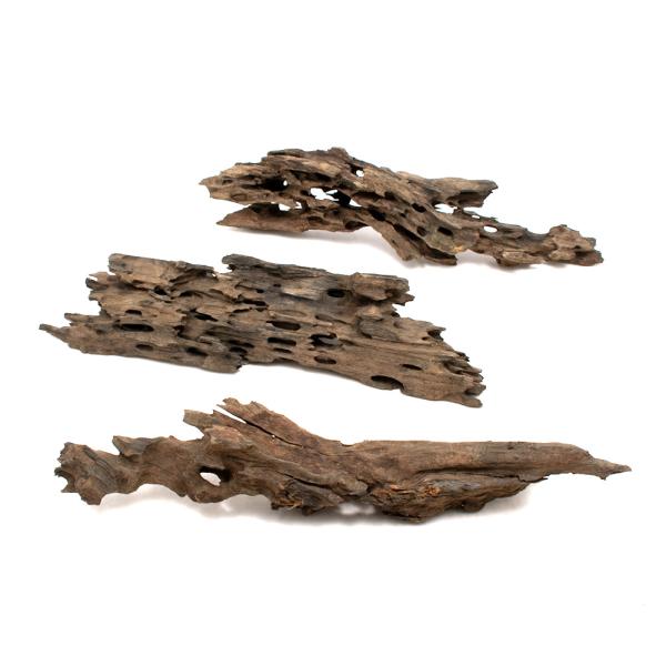 形状お任せ 煮込み済み ハニカムウッド XLサイズ（30〜40cm