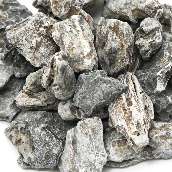 `󂨔C@QJ΁@X[TCY~bNXiR`POj@P