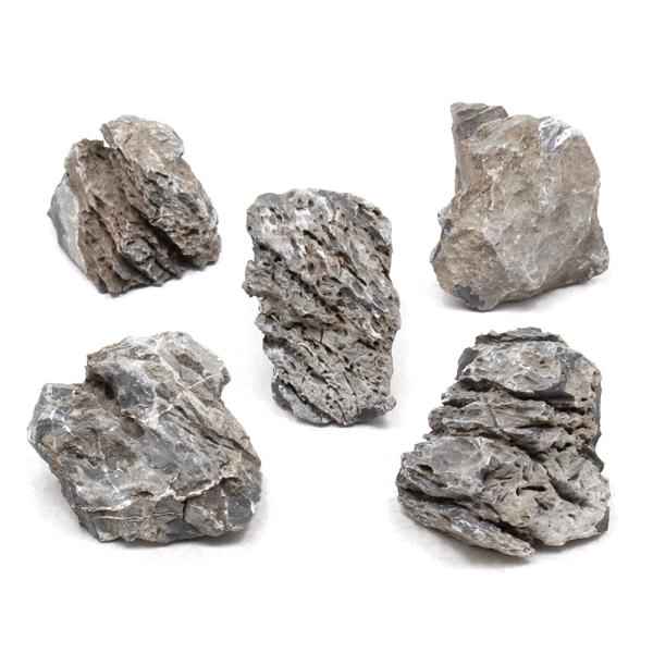 形状お任せ　青龍石　ＳＳサイズ（約５〜８ｃｍ）　５個　アクアリウム　レイアウト素材　2250008096439　流木　石　アクアリウム　テラリウム　パルダリウム　レイアウト　素材　コケリウム　アクアテラリウム　ネイチャーアクアリウム　アクア...