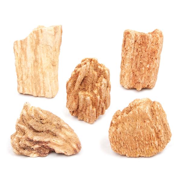 形状お任せ　木紋岩　ＳＳサイズ（５〜８ｃｍ）　５個　アクアリウム　レイアウト素材　石　アクアリウム用品　アクア用品　レイアウト素材　レイアウト　素材　熱帯魚　アクアリウム　パルダリウム　コケリウム　アクアテラリウム　水槽用アクセサリ　隠れ家...