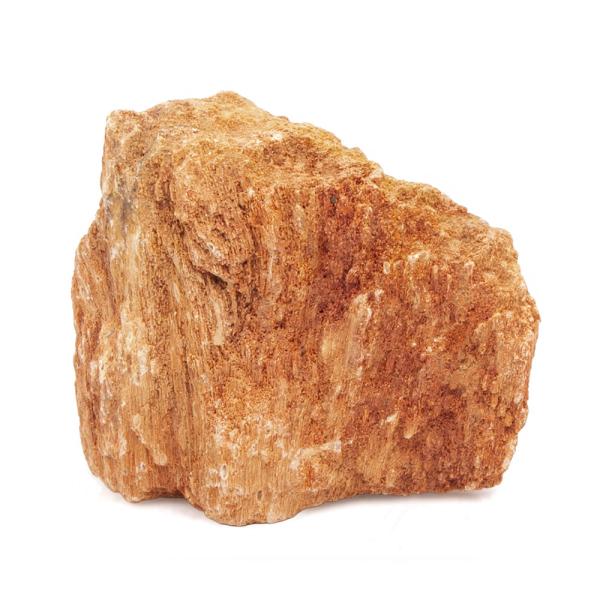 形状お任せ　木紋岩　Ｓサイズ（８〜１３ｃｍ）　１個　アクアリウム　レイアウト素材　石　アクアリウム用品　アクア用品　レイアウト素材　レイアウト　素材　熱帯魚　アクアリウム　パルダリウム　コケリウム　アクアテラリウム　水槽用アクセサリ　隠れ家...