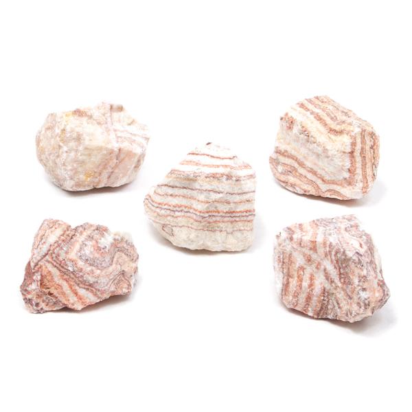 形状お任せ　朱紋石　ＳＳサイズ（５〜８ｃｍ）　５個　アクアリウム　レイアウト素材　2250008096675　石　アクアリウム用品　アクア用品　レイアウト素材　レイアウト　素材　熱帯魚　アクアリウム　パルダリウム　コケリウム　アクアテラリウ...