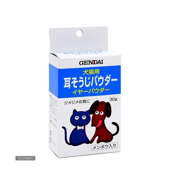 �C���[�p�E�_�[ 30g