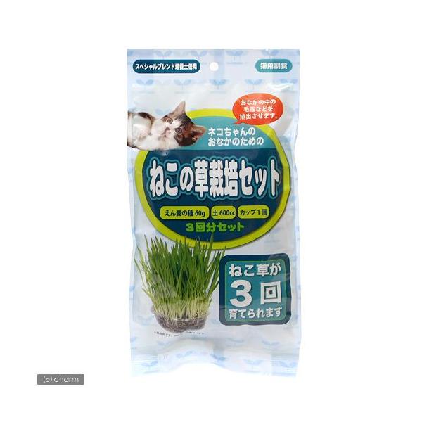 A^@˂͔|Zbg@R񕪁@L@ыʑ΍@H