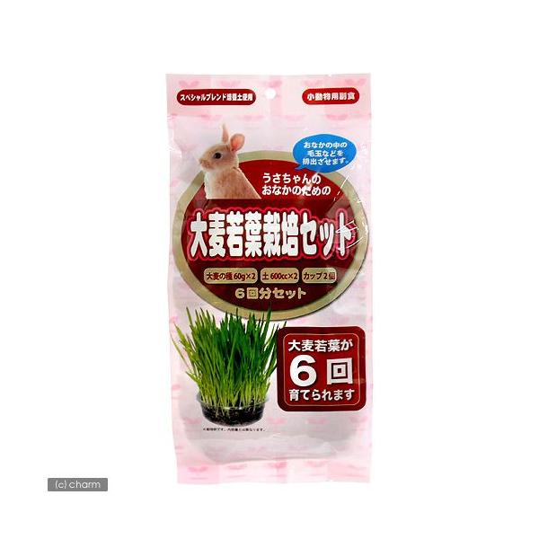 A^@p@唞t͔|Zbg@U񕪁@@@ы