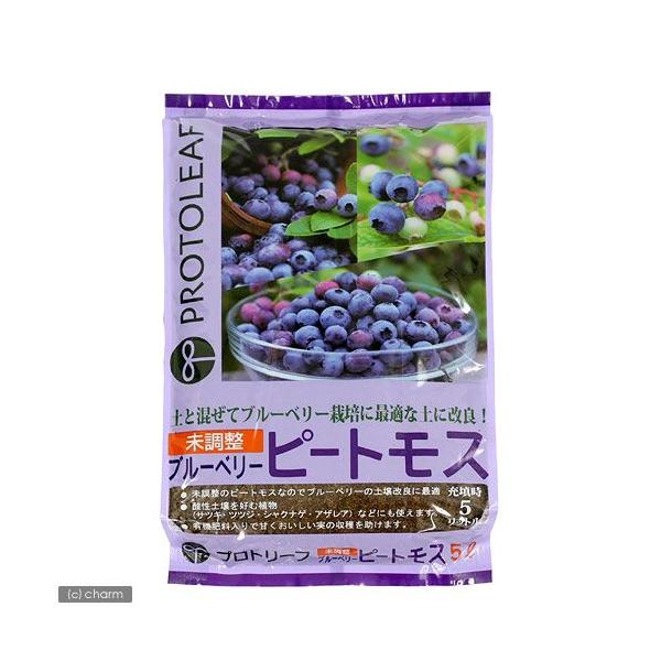 |{y@vg[t@@u[x[s[gX@Tk