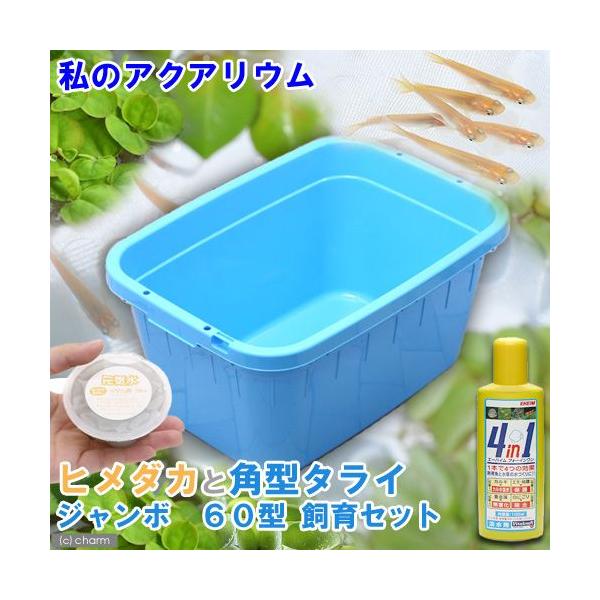 角型 たらい - 水槽の人気商品・通販・価格比較 - 価格.com 角型 たらい - 水槽の人気商品・通販・価格比較 - 価格.com