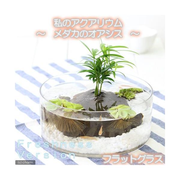 i߂jij̃ANAE@`_J̃IAVX@tbVlXo[W`܂_J@tbgOX@t@Zbg@{Bl