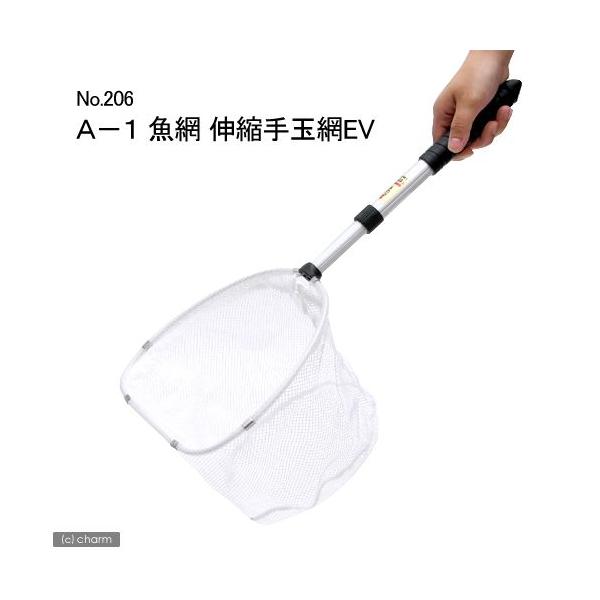 `|P@ԁ@LkʖԂdu@mDQOU