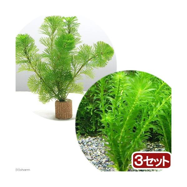 ijCt}`ij_JEZbgiRZbgj