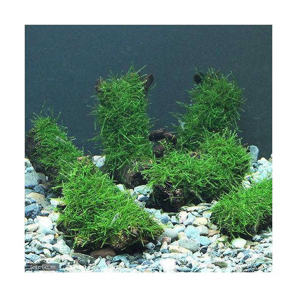 ij琬ρ@EB[X@؁@rrTCYiPOjitji_jiR{j