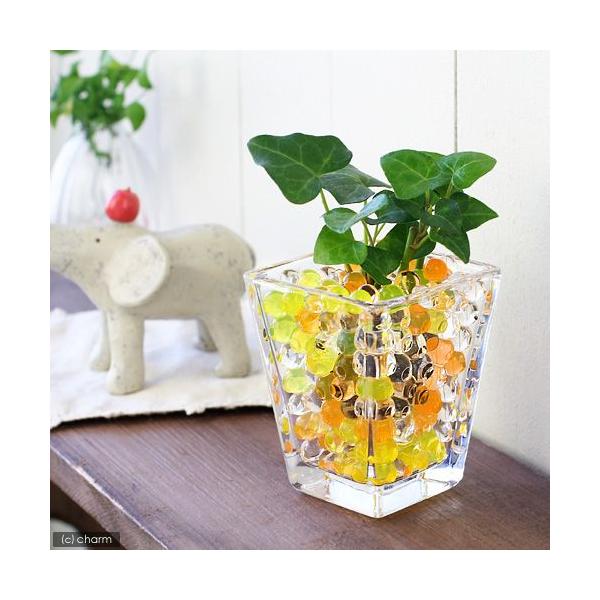 iϗtAj܂IAVXcƃXNGAOXr@CG[~bNXZbg@@@v[g