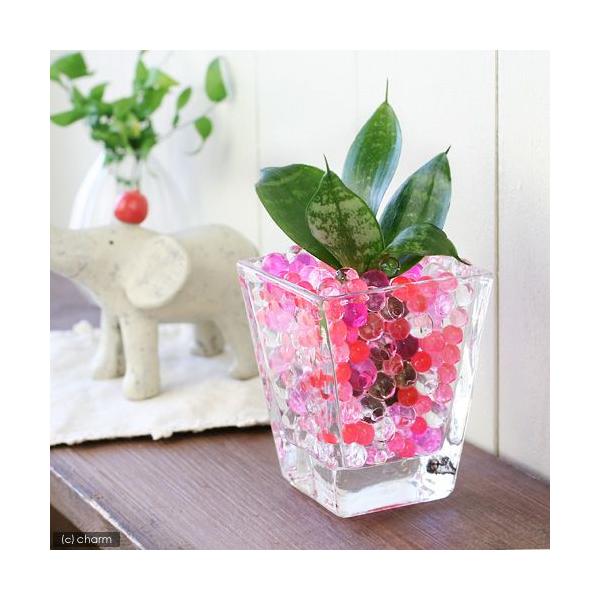 iϗtAj܂IAVXcƃXNGAOXr@bh~bNXZbg@@@v[g