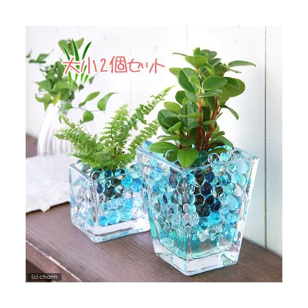 iϗtAj܂IAVXcƃubNOXEXNGAOXQoZbg@u[~bNX@@@v[g