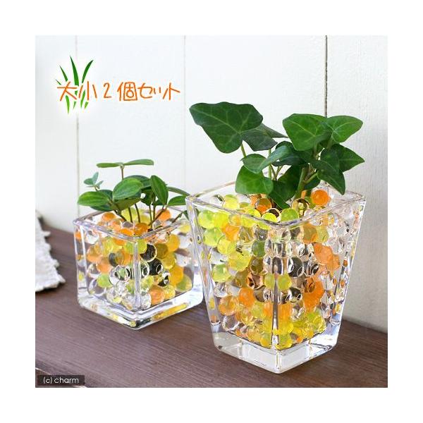 iϗtAj܂IAVXcƃubNOXEXNGAOXQoZbg@CG[~bNX@@@v[g