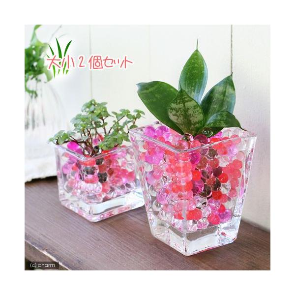 iϗtAj܂IAVXcƃubNOXEXNGAOXQoZbg@bh~bNX@@@v[g