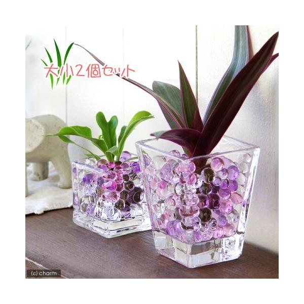 iϗtAj܂IAVXcƃubNOXEXNGAOXQoZbg@p[v~bNX@@@v[g