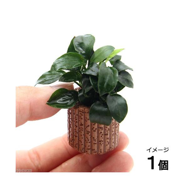 ijAkrAXii@v`@Ct}`ijitjiPj