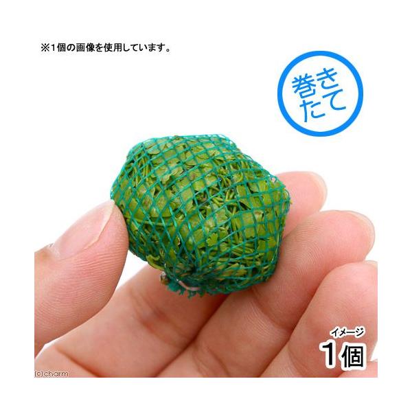 ijā@I[XgA@m`h{[i_jitjiPj