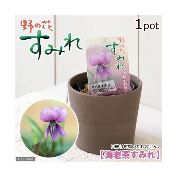 iR쑐jX~i俁jGr`X~iCV俁jQDT`RiP|bgjixԁj