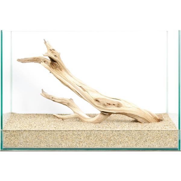 一点物 上質流木 禅 45cm水槽用 851486 : チャーム