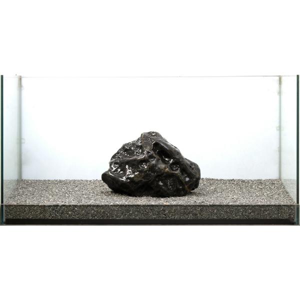チャーム（charm） 一点物 碧海石 親石 大型水槽用 857679