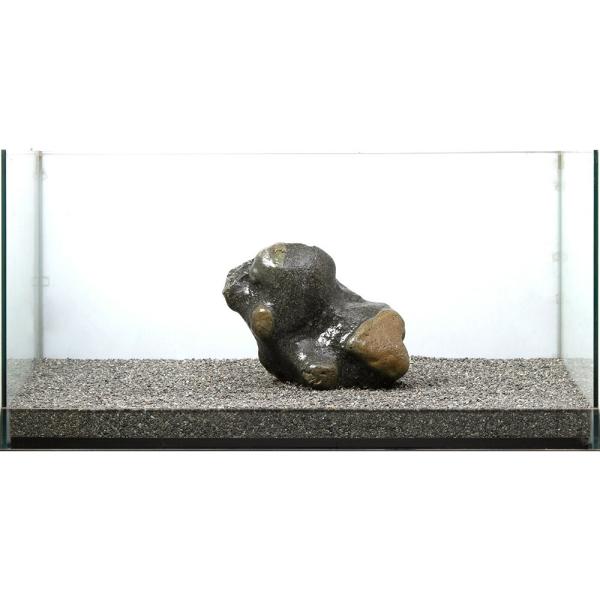 インテリア　観賞用　石 Amazon.co.jp: 人工浮遊軽石吊り石植物石の水槽の装飾品で育つ