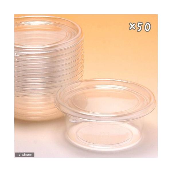 vJbv@@PVO×TO@icsPOT|QOOsbj@JugV@NK^@@c@ɐB