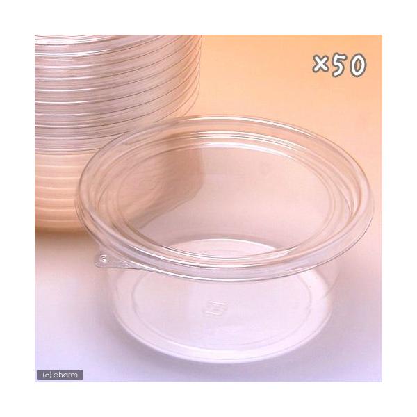 vJbv@@RVO×TO@icsPQX|SROsbj@JugV@NK^@@c@ɐB