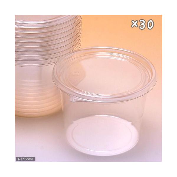 vJbv@[@UWO×RO@icsPQX|VOOlsbj@JugV@NK^@@c@ɐB