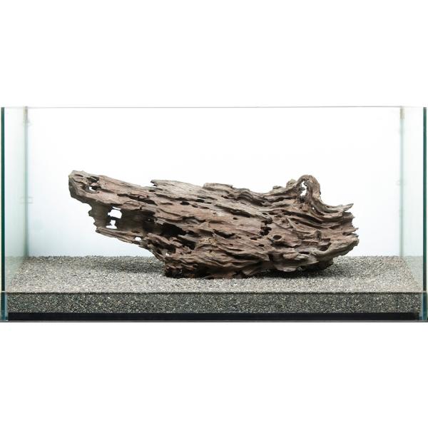 流木　チャーム　ハニカムウッド 一点物 大型水槽用 ハニカムウッド 859207 : チャーム charm