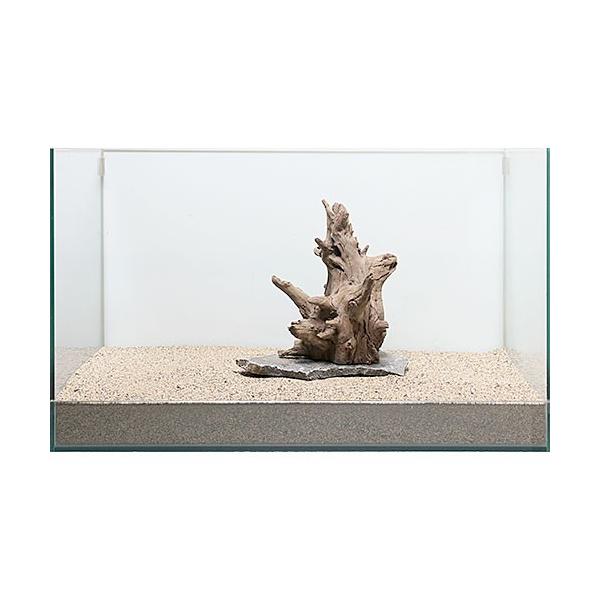 流木 爬虫類 両生類飼育用品の人気商品 通販 価格比較 価格 Com