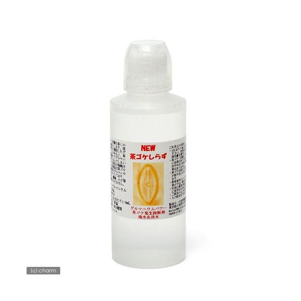 Q}jEp[@mdvSP炸@WECp@QOOiSOOOkj@SP@΍