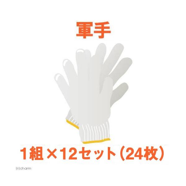 ƗpRi܂j@Pg×PQZbgiQSj